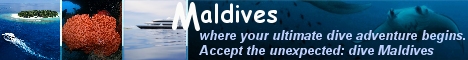 Maldives , where your ultimate dive adventure begins . Accept the unexpected dive Maldives.
