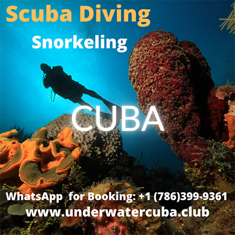 Underwater Cuba