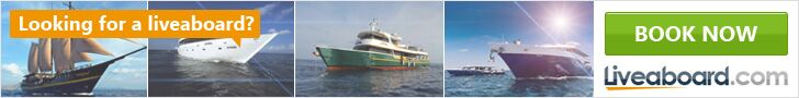 Compare prices of liveaboards online