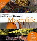 A divers' guide to Underwater Malaysia Macrolife