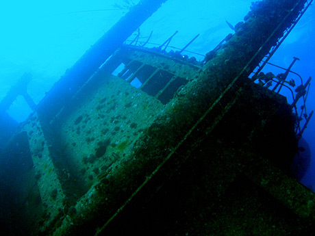 Red Sea Shipwreck: Ghiannis D