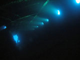 Interior of Ghiannis D shipwreck by Tim Nicholson