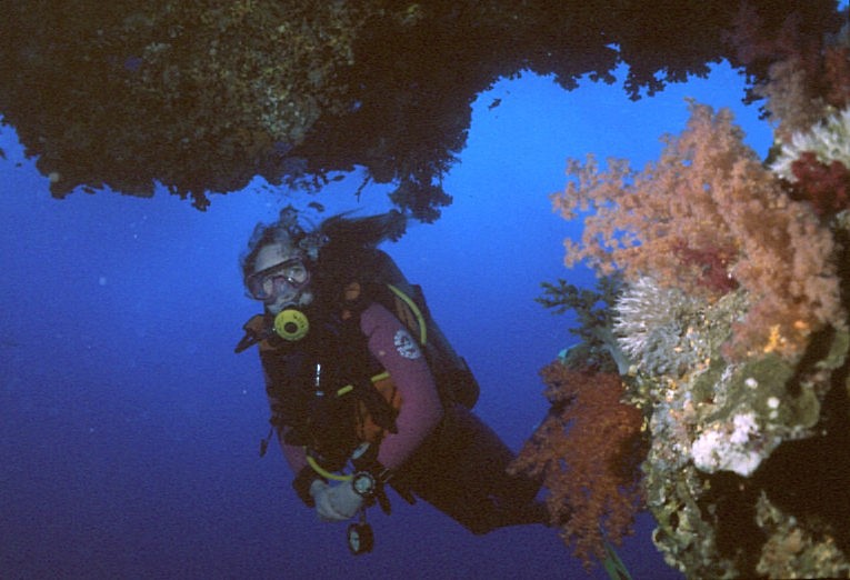 Photograph of Diver in the Egyptian Red Sea