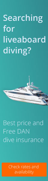 Best price liveaboards with free DAN insurance