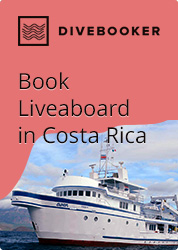 Book liveaboard in Costa Rica