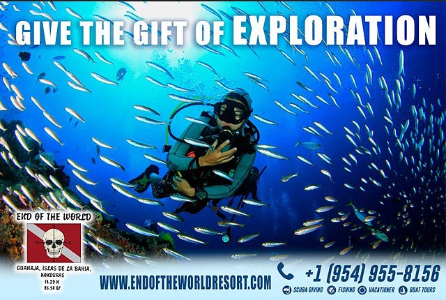 Scuba dive with the End of the World Resort