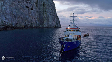 Liveaboard visiting the world class dive sites of Malpelo, Colombia