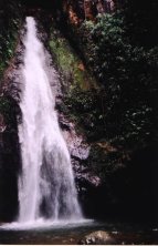 Waterfall Dominica