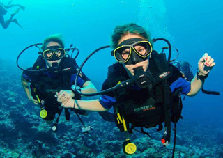 Divers, Fundive