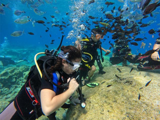 Diving in Cyprus