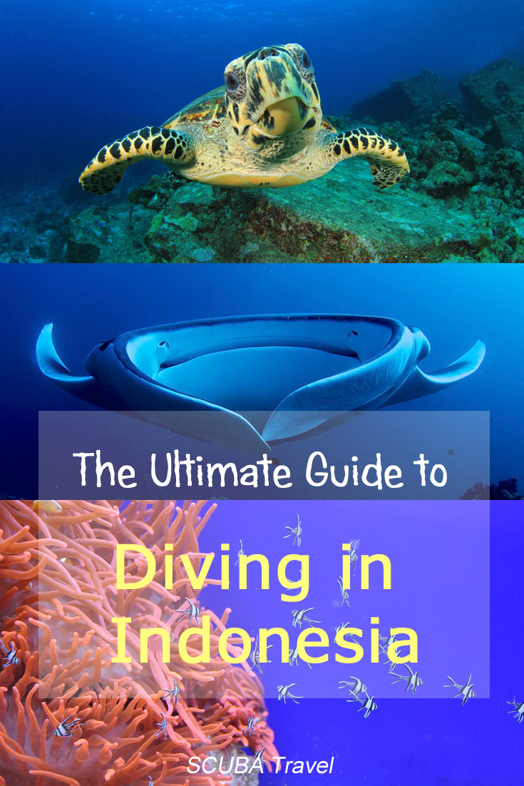 Ultimate Guide to Scuba Diving Indonesia