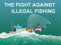 Drawing of illegal fishing