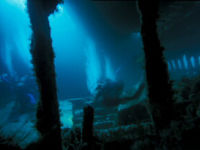 Shipwrecks from WWI and WWII are polluting the North Sea