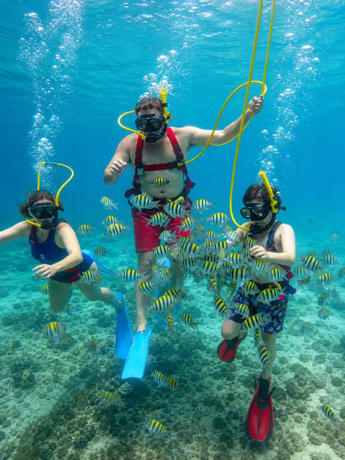 Family underwater
