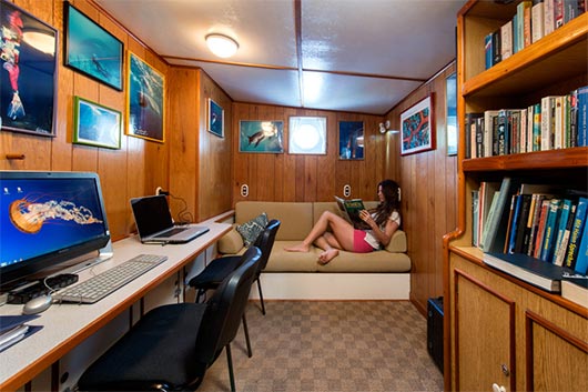 Sea Hunter Liveaboard Library and computers