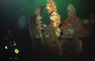 Wreck of The Laurentic off Ireland