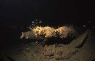 Wreck of The Laurentic off Ireland