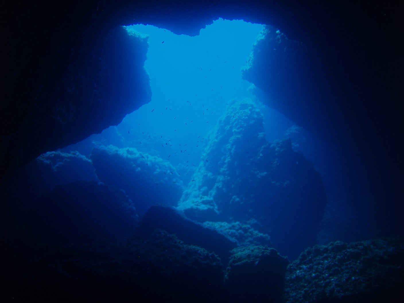 Diving Lo Scoglia del Medico (Doctor's Rock) cave, Ustica, Italy