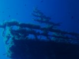 Secca de la Columbara, Wreck diving in Ustica