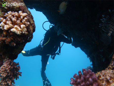Egypt Divers underwater Red Sea